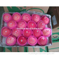 /msite/products/detail/productid/54855464/id/542998.html